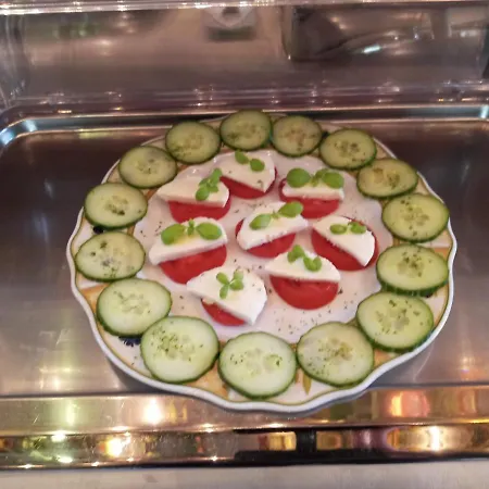 Central Hotel Ξενοδοχείο Σβέτζινγκεν