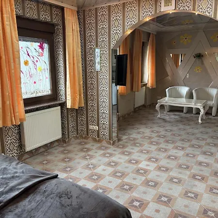 Central Hotel Отель Шветцинген