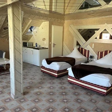 酒店 中心酒店 *