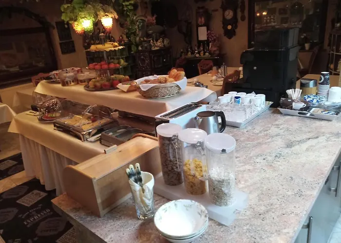 酒店 中心酒店 施韦青根