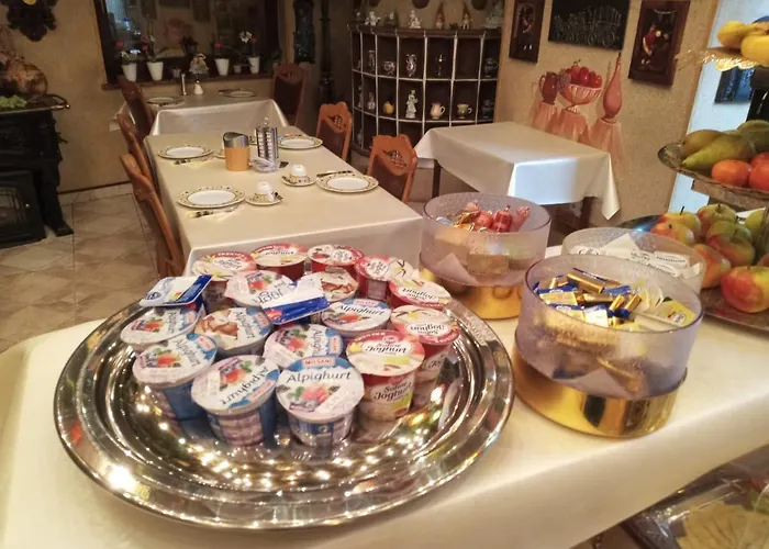 中心酒店 酒店 施韦青根