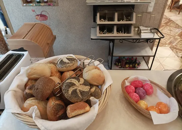 中心酒店 酒店 *