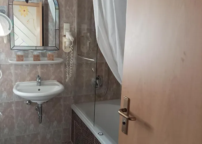 ホテル Central Hotel シュヴェツィンゲン