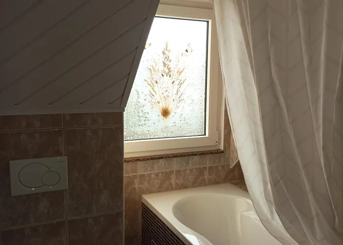 中心酒店 酒店 施韦青根