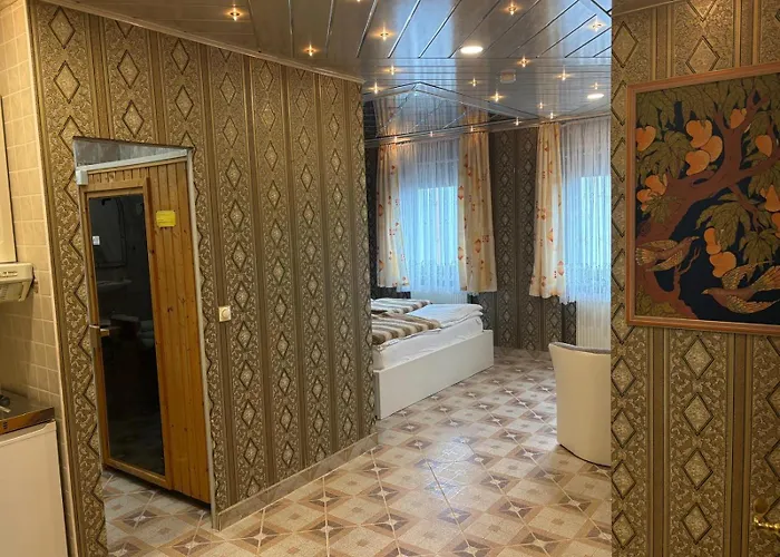 酒店 中心酒店 施韦青根